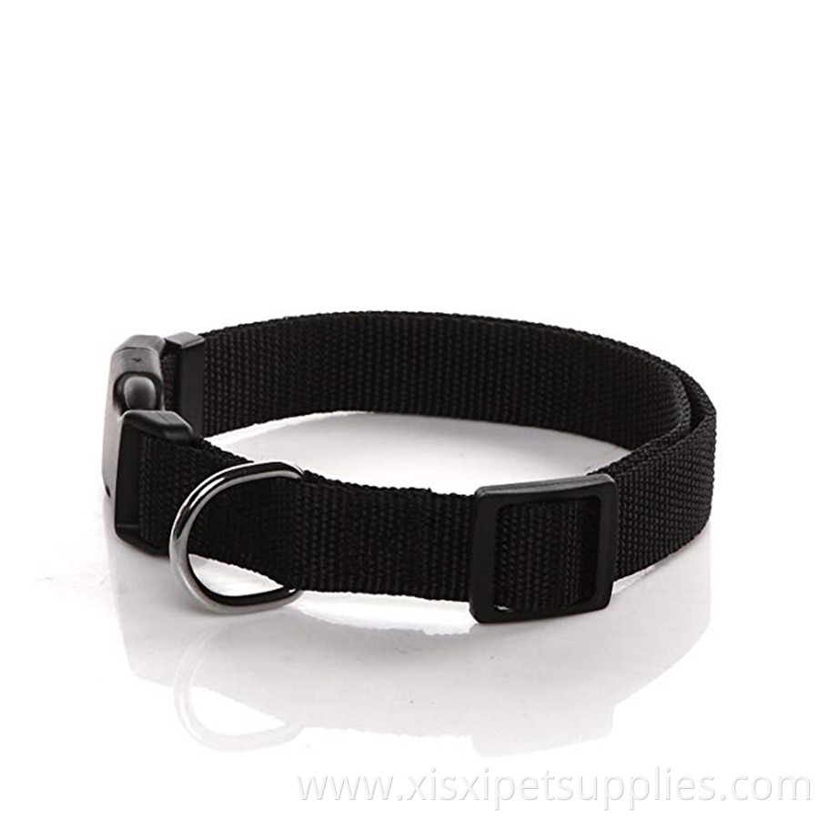 customize 1 inch wide Durable Adjustable Nylon Dog Collar for small medium large dogs